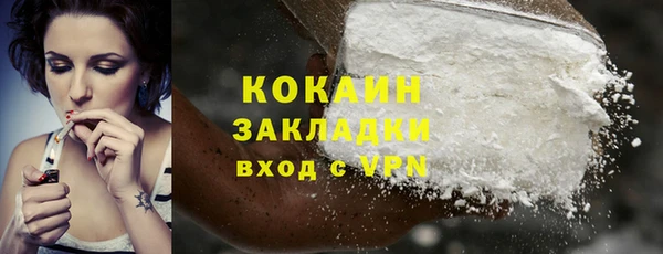 крисы Абаза
