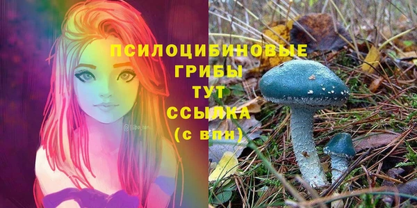 mdpv Абинск