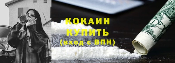 крисы Абаза