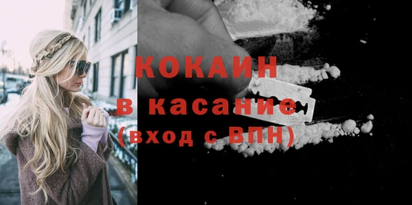 крисы Абаза