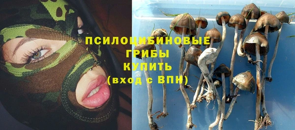 тгк Абдулино