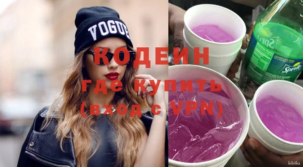 крисы Абаза