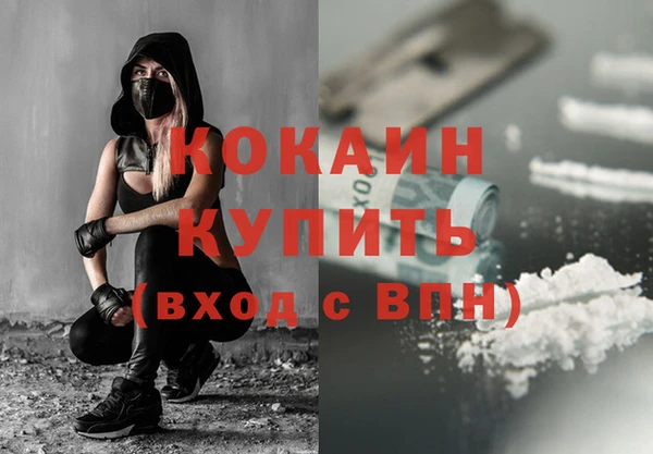 крисы Абаза