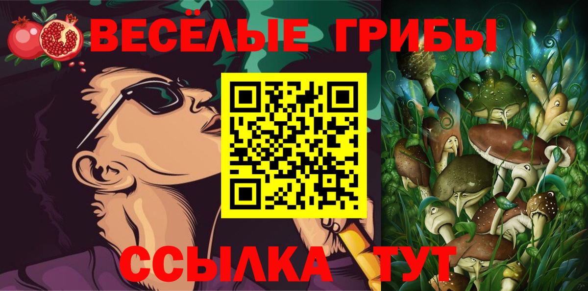 Псилоцибиновые грибы Cubensis Екатеринбург