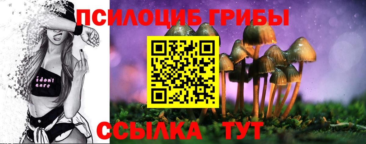 Екатеринбург  где купить наркоту  Вход с VPN  Галлюциногенные грибы Psilocybe  Псилоцибиновые грибы Cubensis 